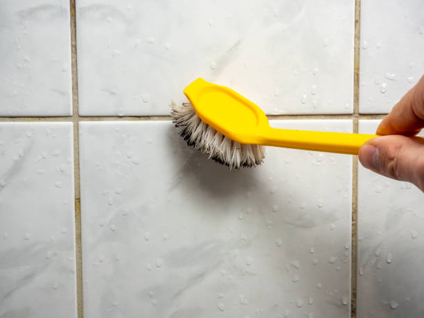 Best Mold Cleaning Services  in Ypsilanti, MI