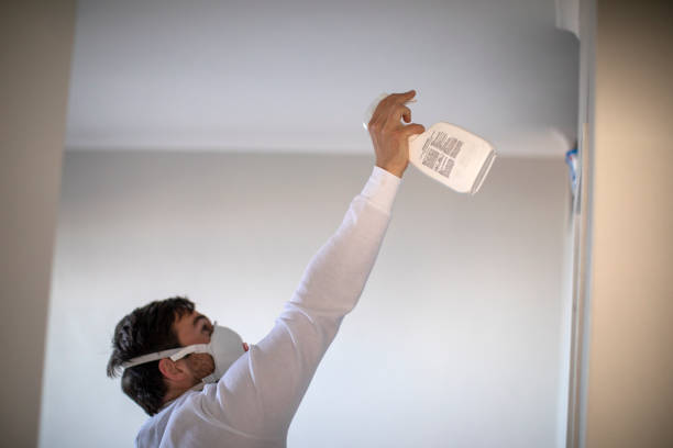 Best Mold Testing  in Ypsilanti, MI