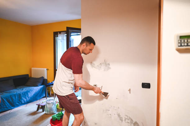 Best Emergency Mold Removal  in Ypsilanti, MI