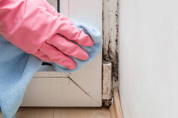 Water Damage Restoration in Ypsilanti, MI